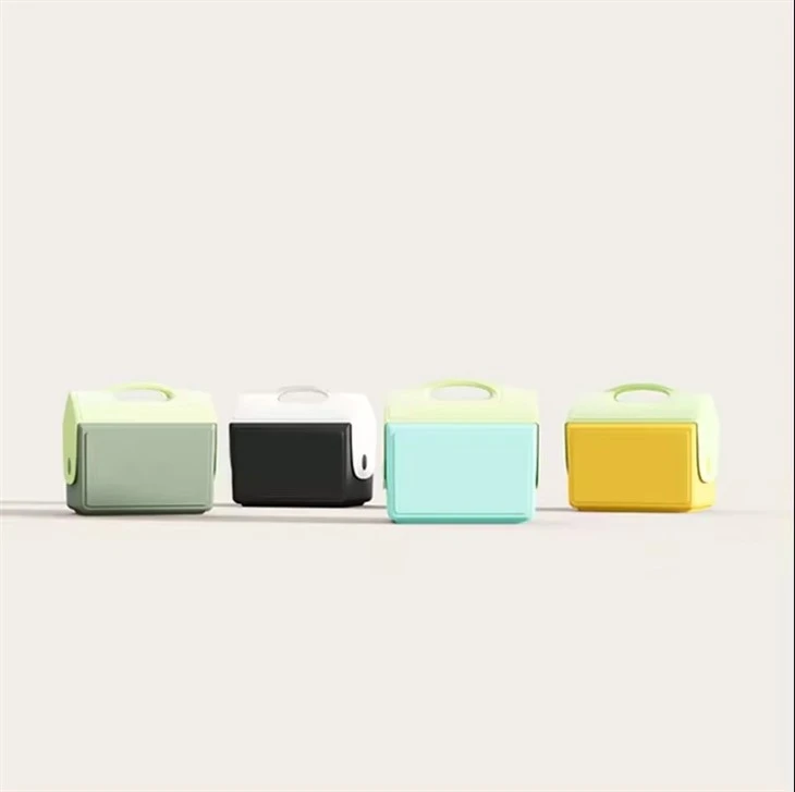 Igloo Ice Cooler Box With Speakers